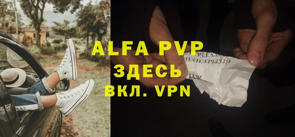 стаф Алзамай