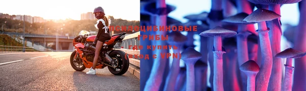 таблы Алексеевка