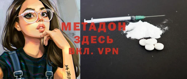 стаф Алзамай