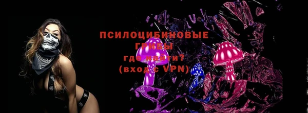 ПСИЛОЦИБИНОВЫЕ ГРИБЫ Алексин