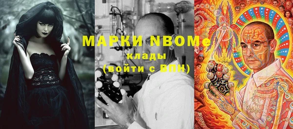 стаф Алзамай