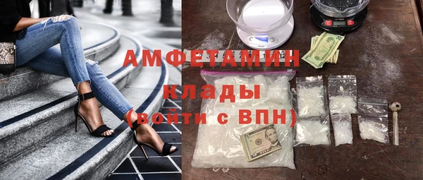 стаф Алзамай