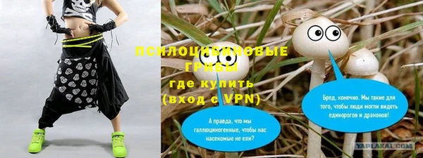 таблы Алексеевка