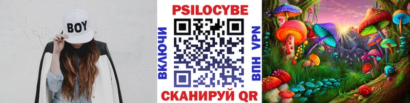 Псилоцибиновые грибы мухоморы  где можно купить   Ликино-Дулёво 